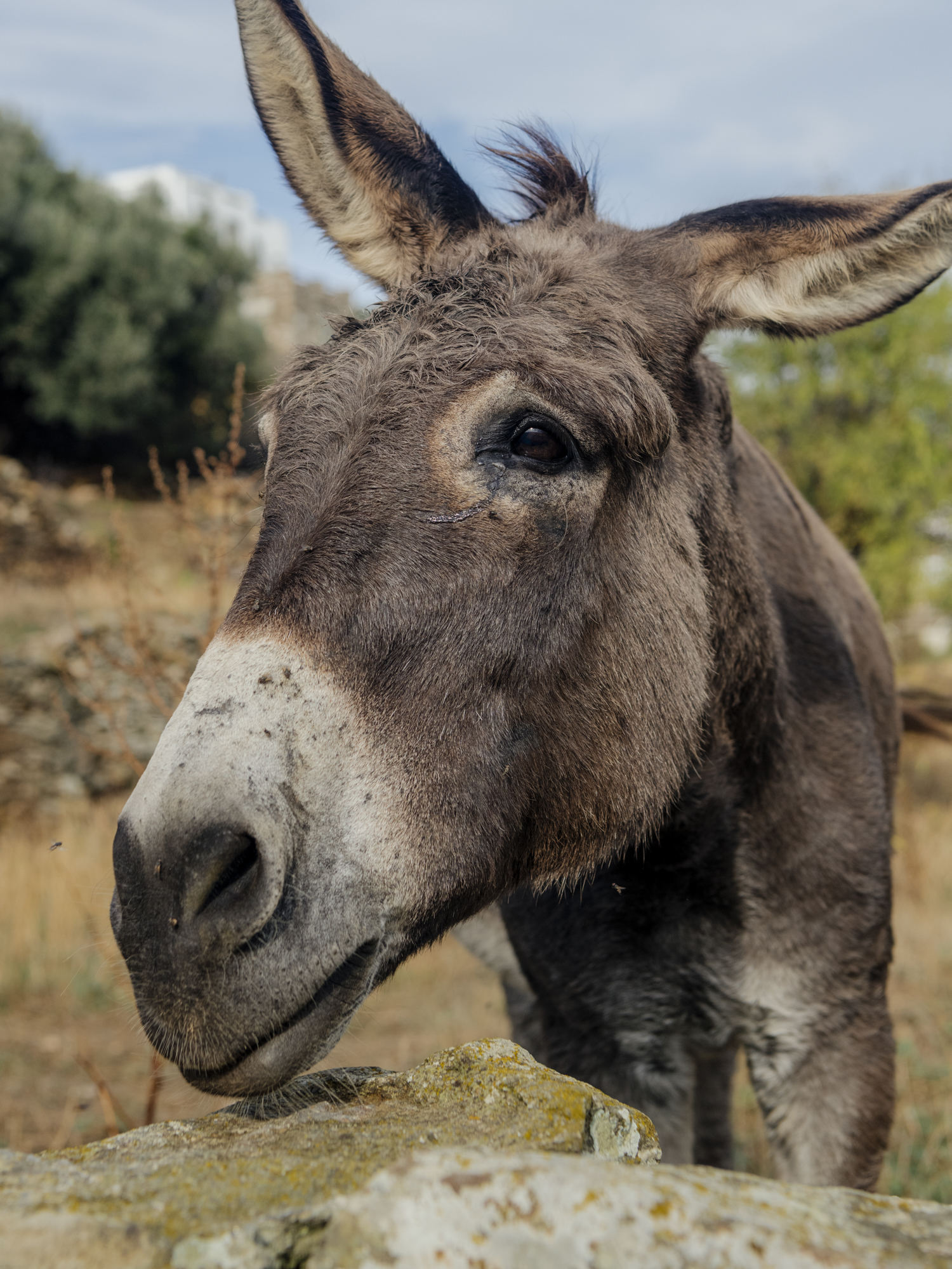Greece_0914